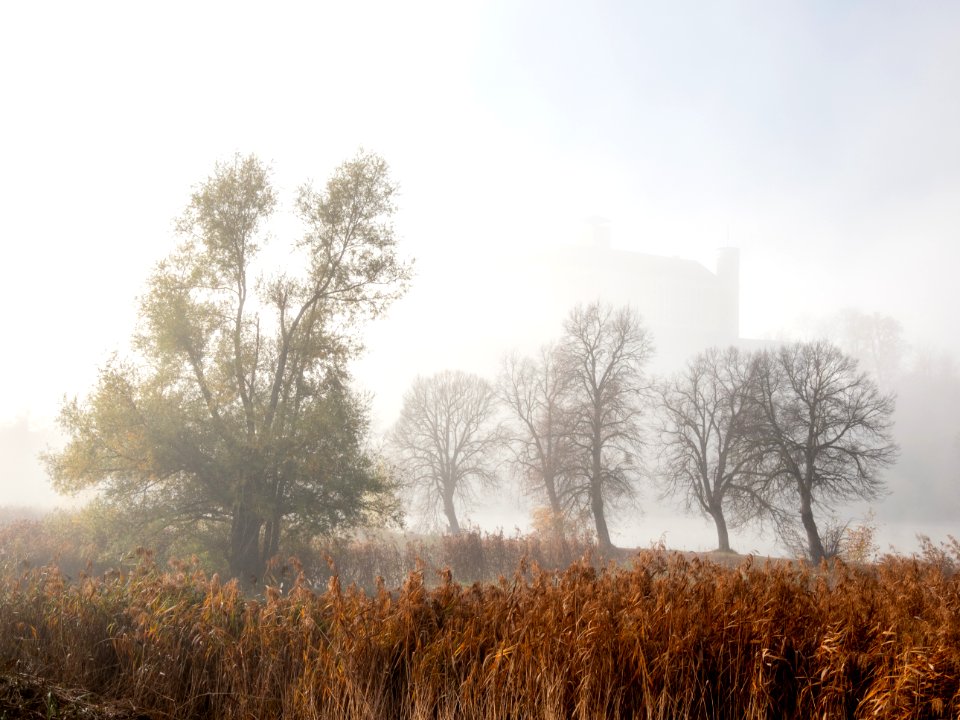 Schloss Trautenfels