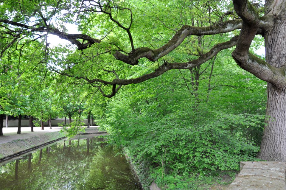 Schlossgarten Schwetzingen 254