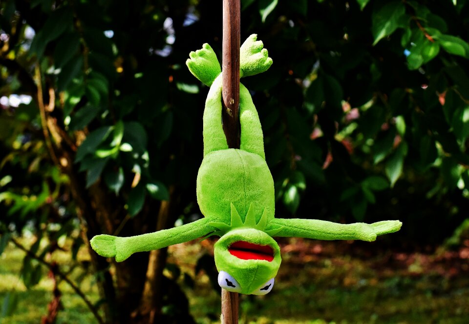Soft toy animal toys