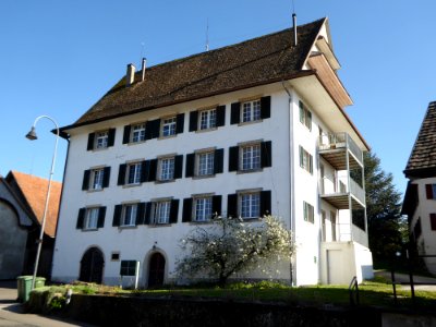 Schloss Wittenwil