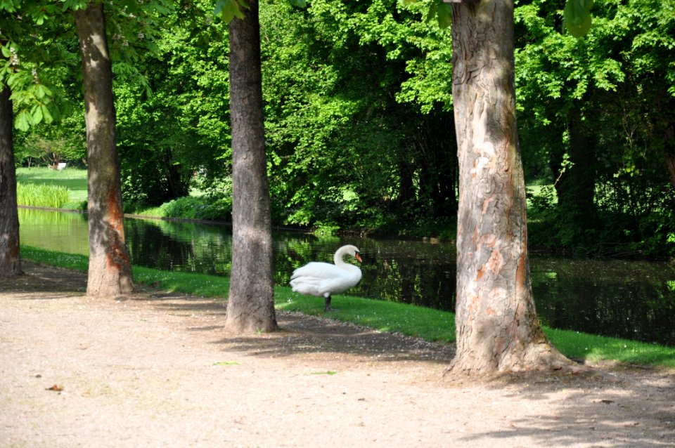 Schlossgarten Schwetzingen 081