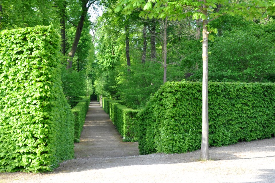 Schlossgarten Schwetzingen 024