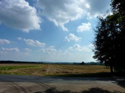 Schloss Taxis Stoppelfeld