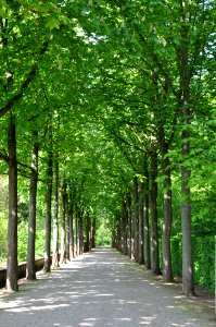 Schlossgarten Schwetzingen 150