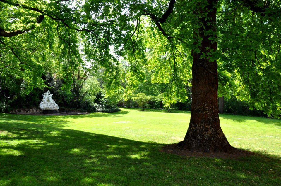 Schlossgarten Schwetzingen 181