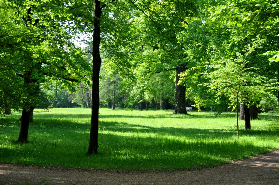 Schlossgarten Schwetzingen 095