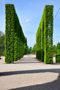 Schlossgarten Schwetzingen 195
