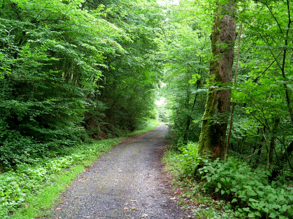 Schrauffweg Erkensruhr valley 02