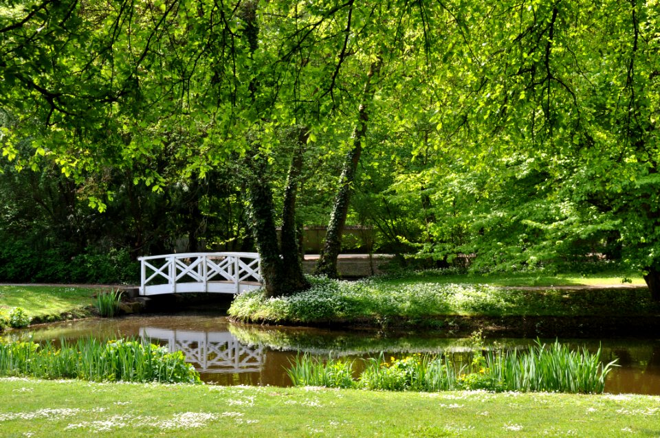 Schlossgarten Schwetzingen 249