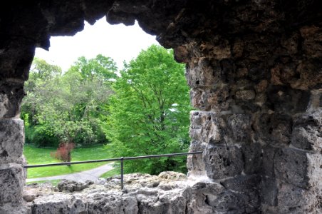 Schlossgarten Schwetzingen 237