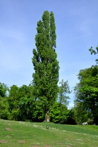 Schlossgarten Schwetzingen 106