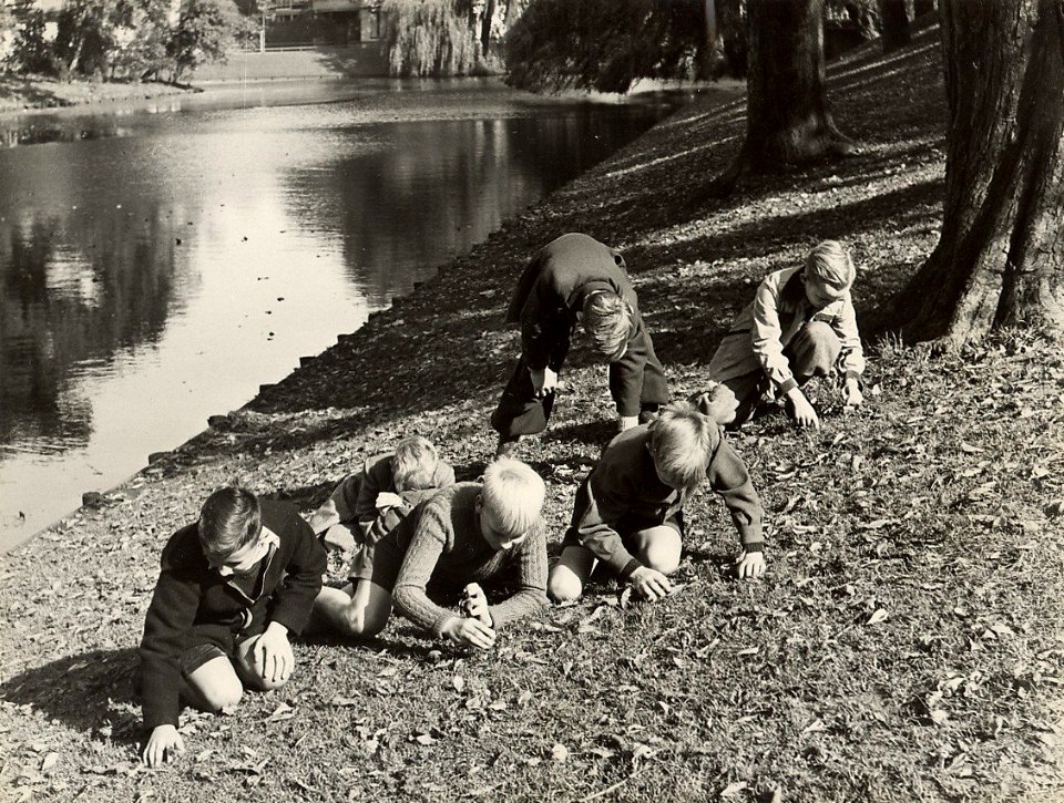 Schotersingel, zuidzijde, nabij het Kennemerplein, waar in de berm de jeugd beukenootjes zoekt. Aangekocht in 1977 van fotograaf C. de Boer, NL-HlmNHA 1478 25900 K 38