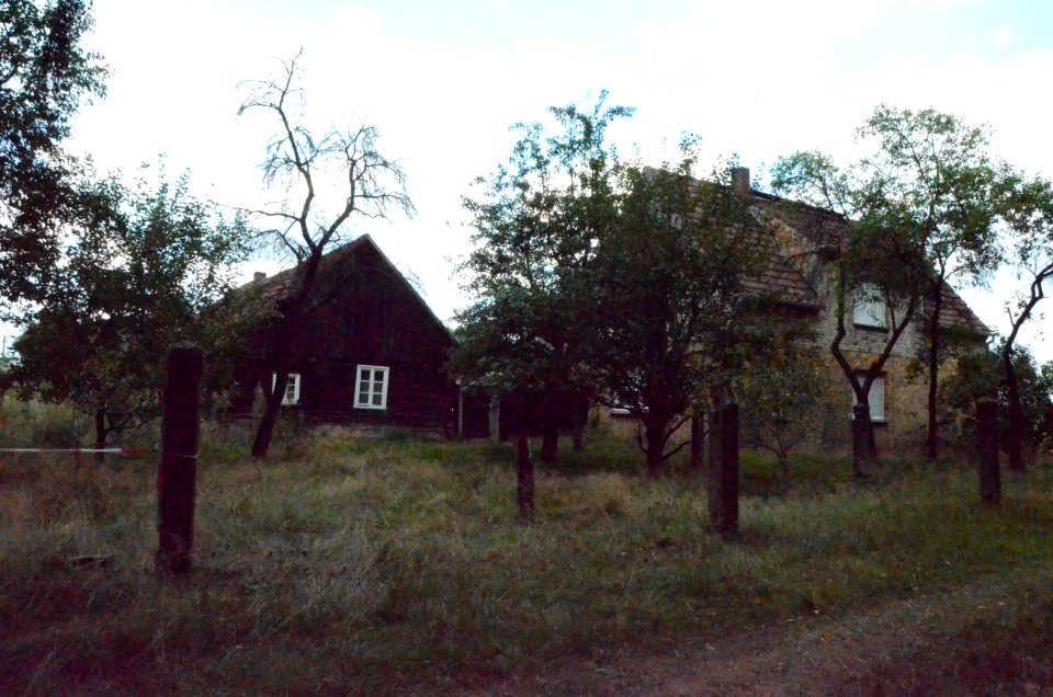 Schrotholzhaus – DSC 0079