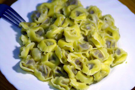 Dish eating dumplings