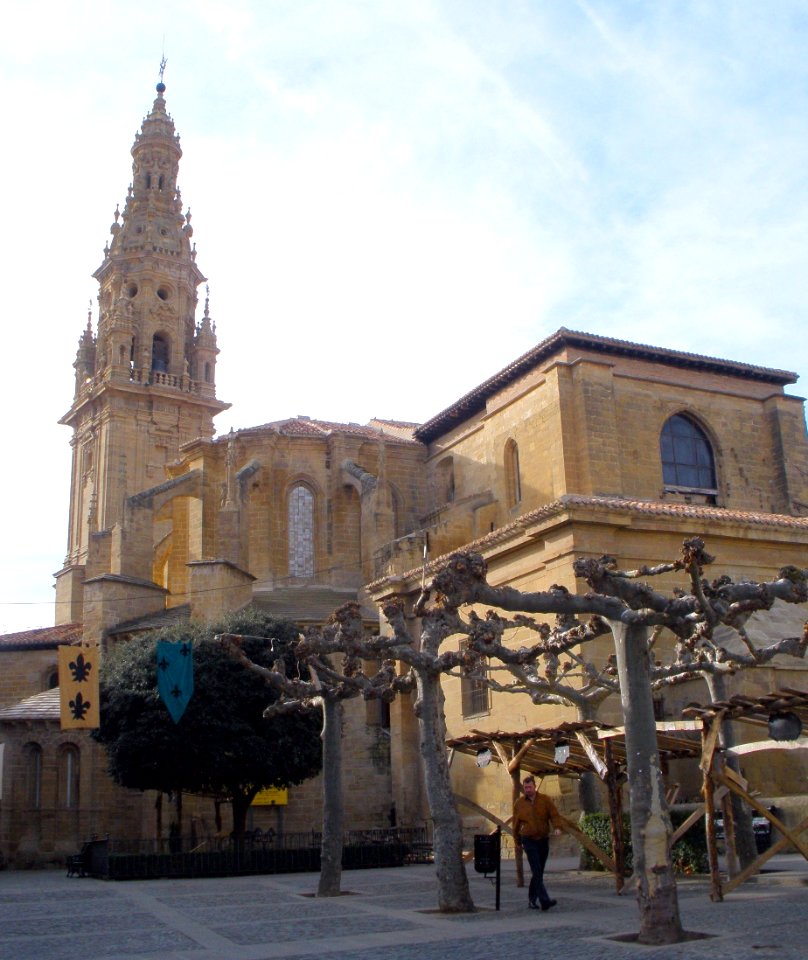 Santo Domingo de la Calzada - Catedral, exterior 02