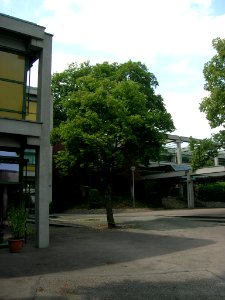 Schule Eichstätt -SZ FT (2)