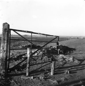 Schouwen-Duiveland, Bestanddeelnr 900-9962