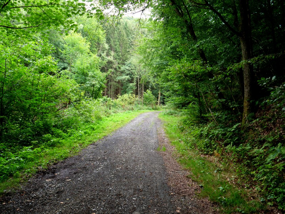 Schrauffweg Erkensruhr valley 06