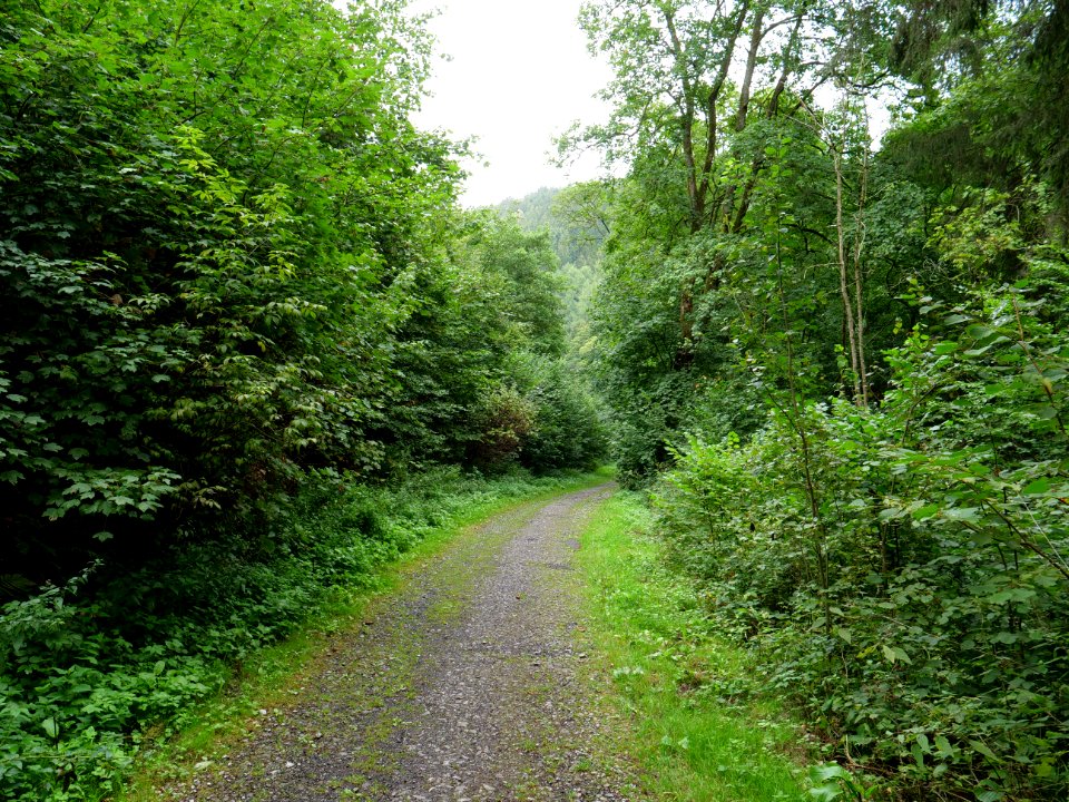 Schrauffweg Erkensruhr valley 03