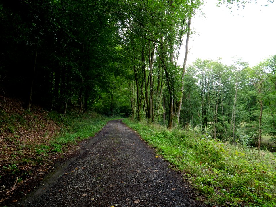 Schrauffweg Erkensruhr valley 08