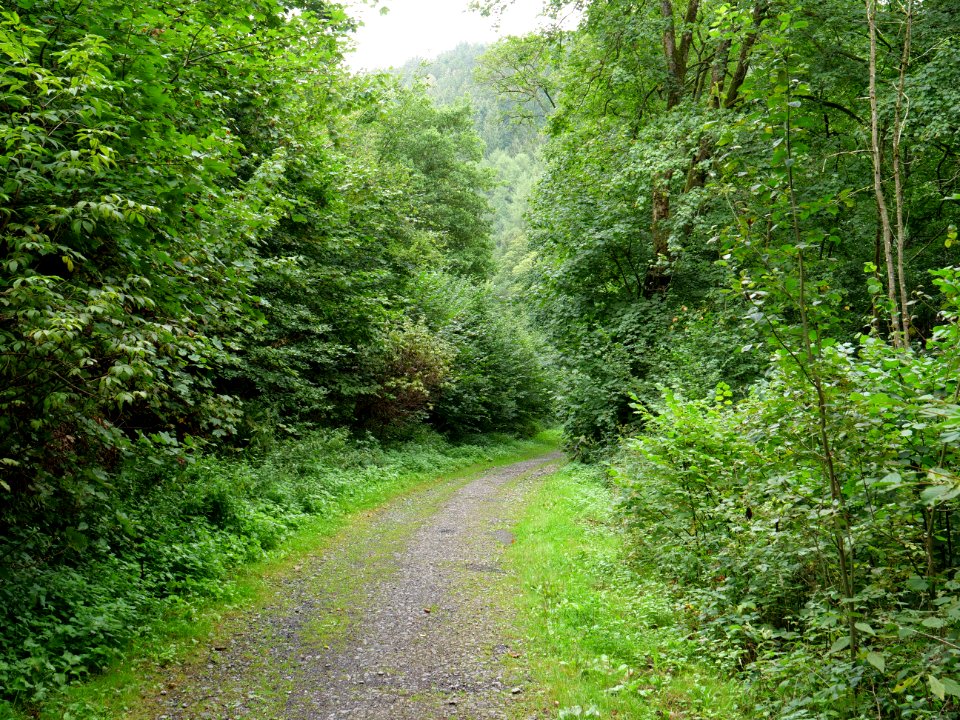 Schrauffweg Erkensruhr valley 05