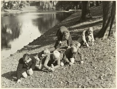 Schotersingel. NL-HlmNHA 54004632