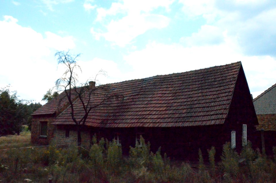 Schrotholzhaus – DSC 0080
