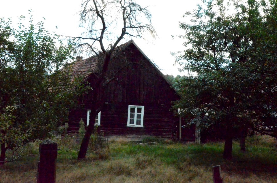 Schrotholzhaus – DSC 0077