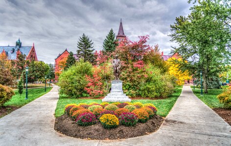 Autumn foliage cloudy sky photo