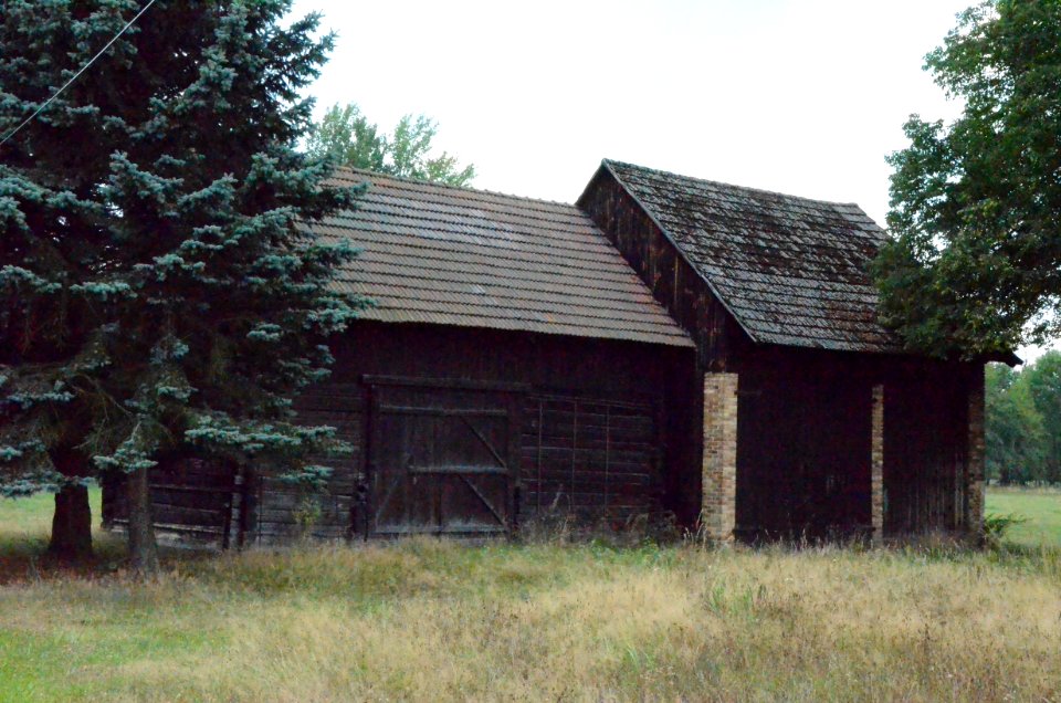 Schrotholzscheune – DSC 0072
