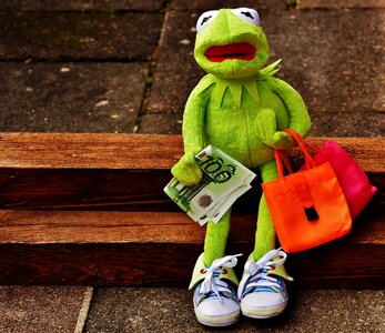 Euro shopping bags bags