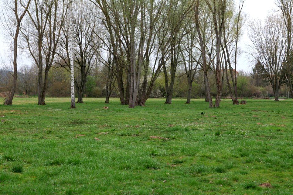 Schoolyard Henry-Benrath-Schule Friedberg 2021-04-02 08