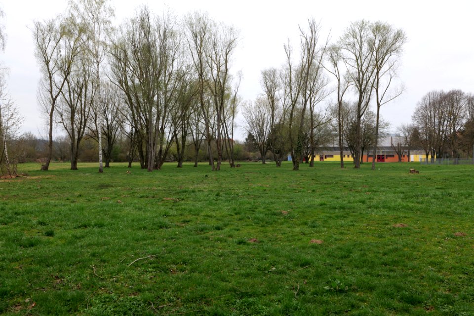 Schoolyard Henry-Benrath-Schule Friedberg 2021-04-02 06