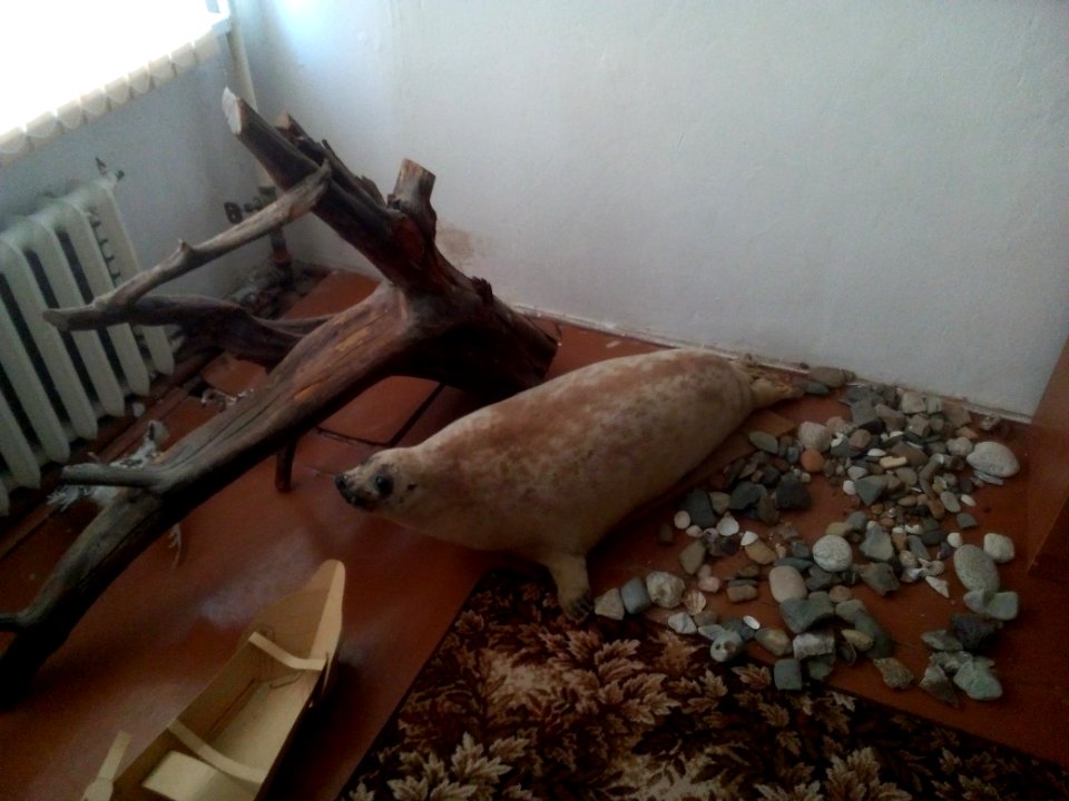 School ethnographical museum in Nekrasovka. North-West of Sakhalin. 03