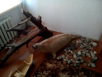 School ethnographical museum in Nekrasovka. North-West of Sakhalin. 03