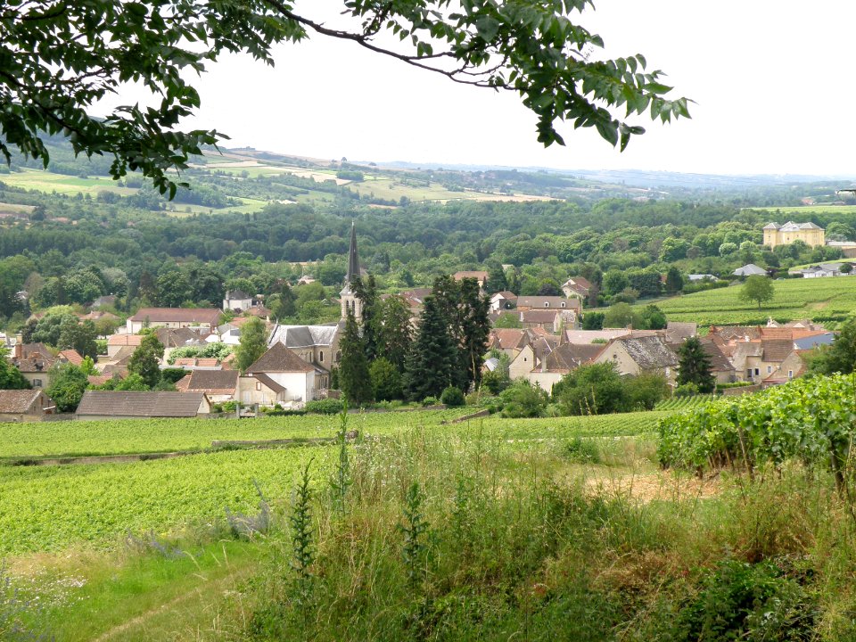 Santenay Vue d'ensemble 4