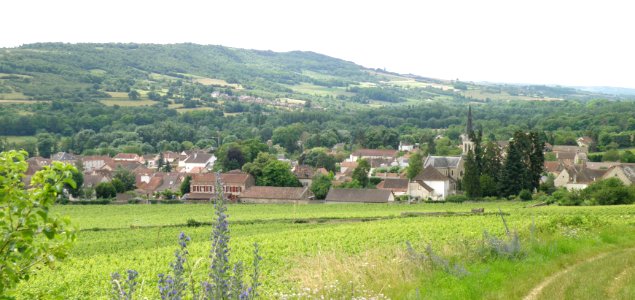 Santenay Vue d'ensemble 3