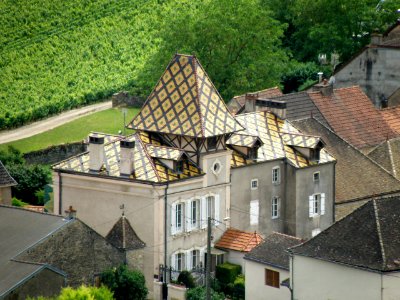 Santenay Domaine Prieur-Brunet 5