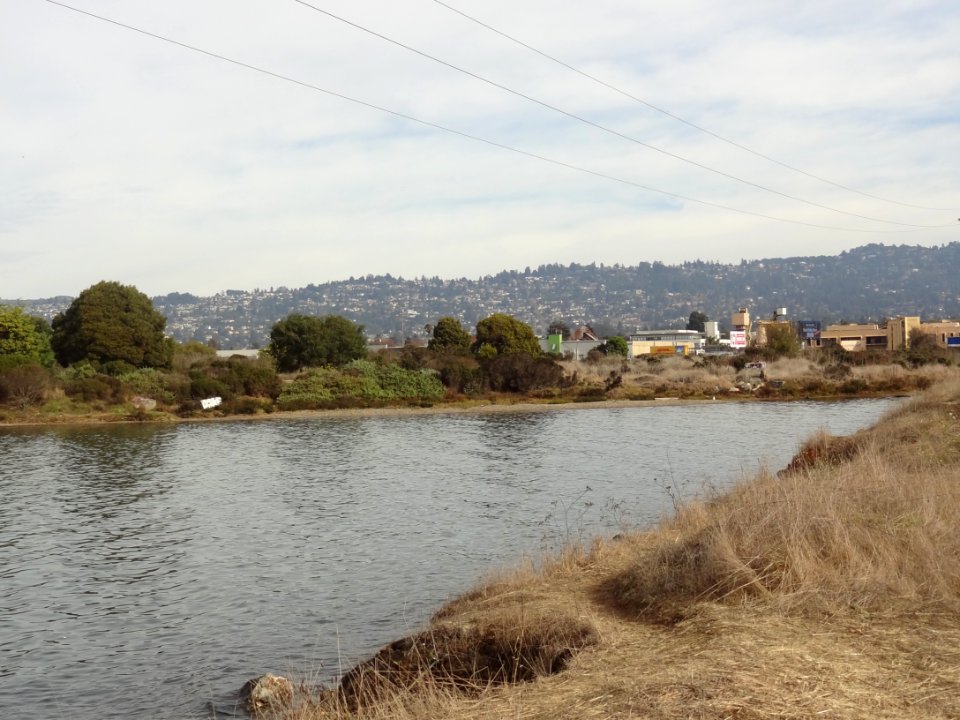 Schoolhouse Creek (Alameda County, California)