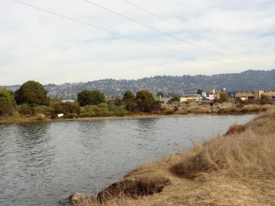 Schoolhouse Creek (Alameda County, California)