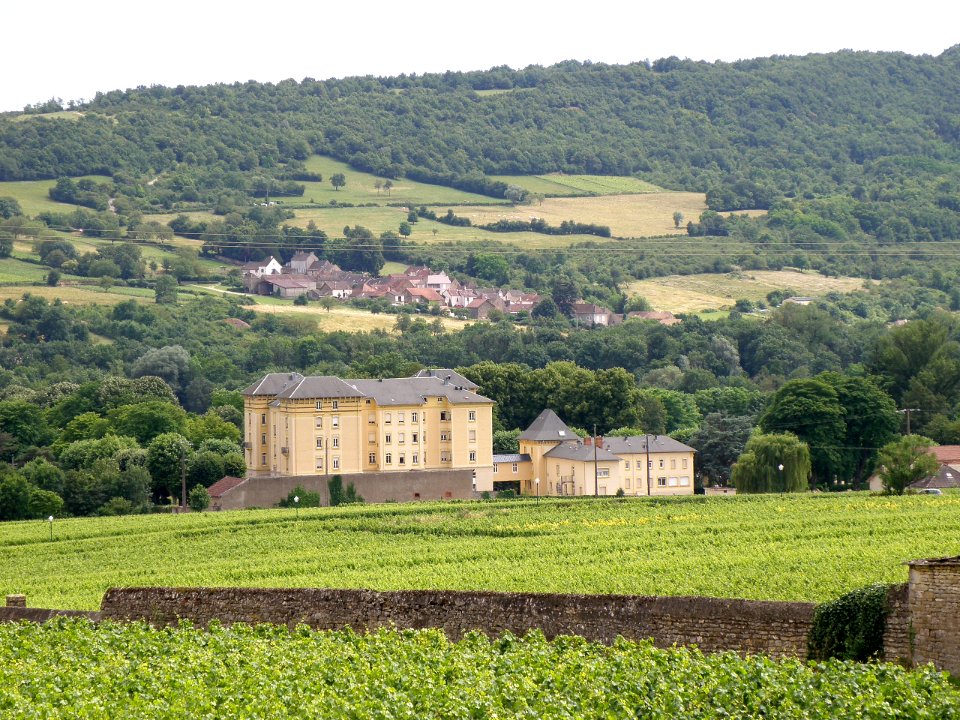 Santenay Hôtel des Bains 5