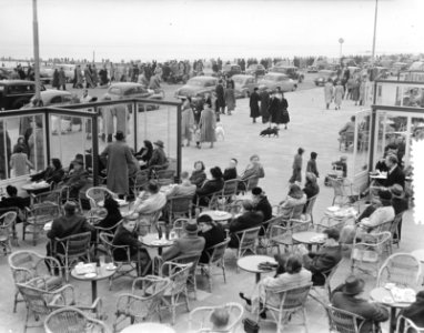 Scheveningen voorjaar op terras, Bestanddeelnr 905-0118