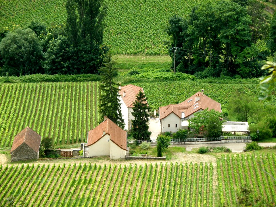 Santenay Hameau Saint-Jean