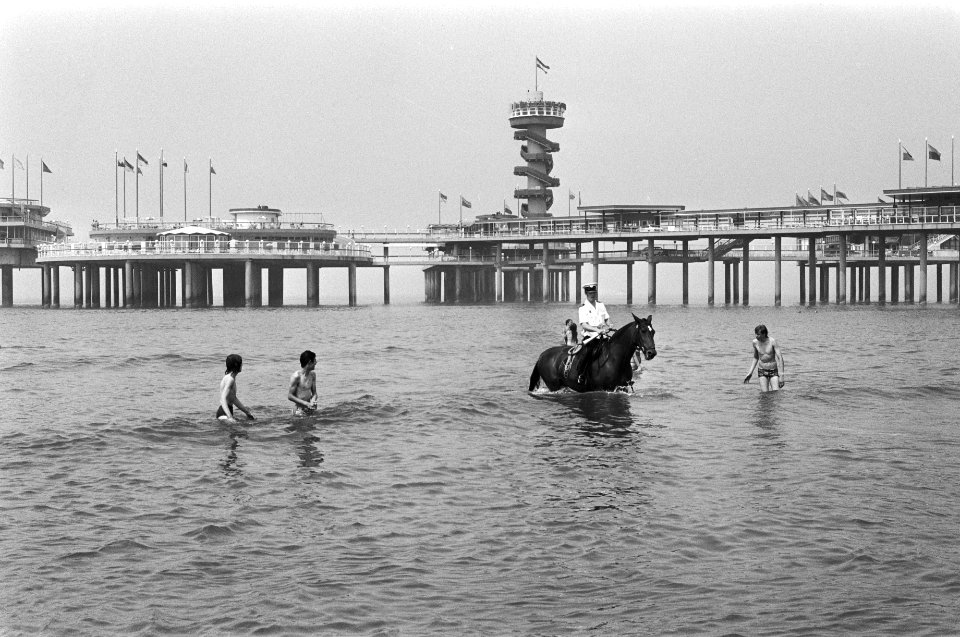 Scheveningen-strand, politie te paard te water haalt mens die te ver in zee zijn, Bestanddeelnr 928-6603