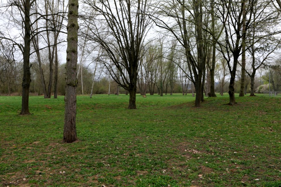 Schoolyard Henry-Benrath-Schule Friedberg 2021-04-02 03