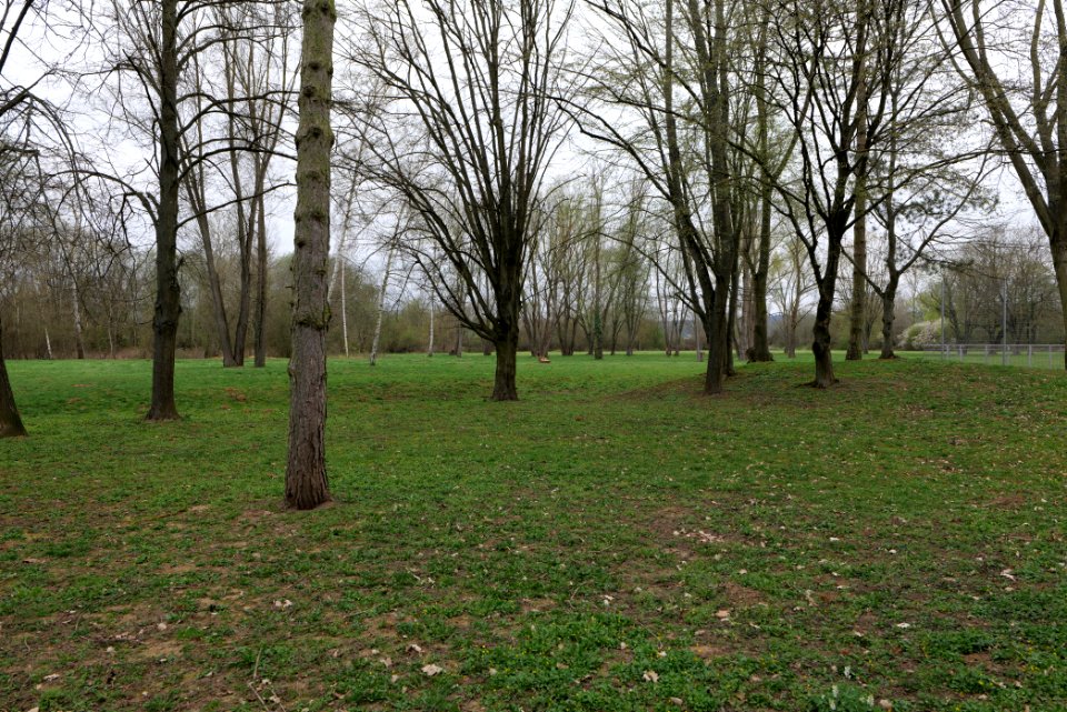 Schoolyard Henry-Benrath-Schule Friedberg 2021-04-02 01