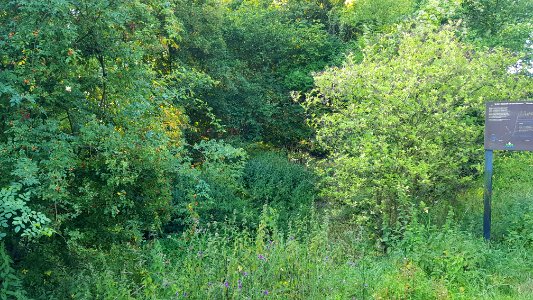 Schin op Geul-Groeve Keutenberg (4)