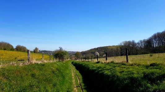Schin op Geul-Sousberg (15)