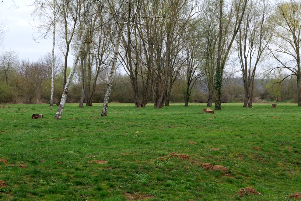 Schoolyard Henry-Benrath-Schule Friedberg 2021-04-02 04