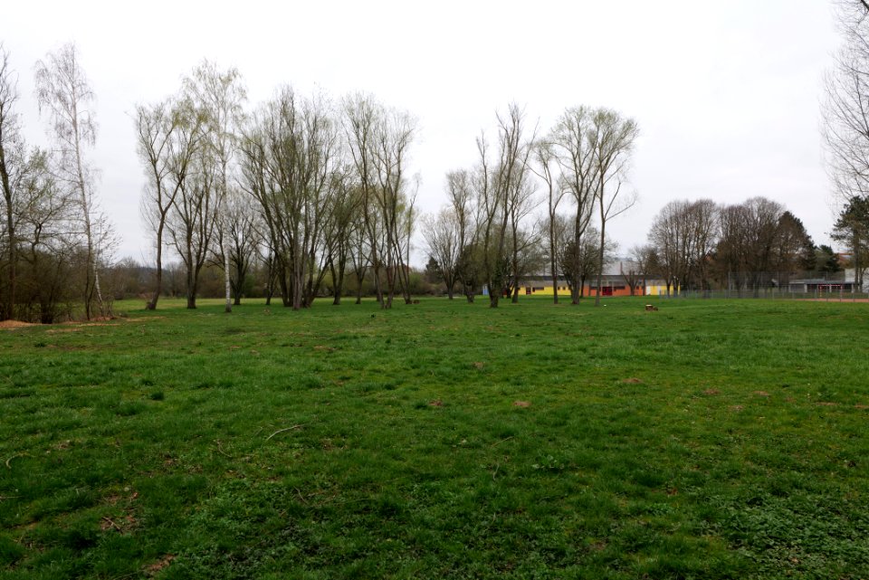 Schoolyard Henry-Benrath-Schule Friedberg 2021-04-02 05